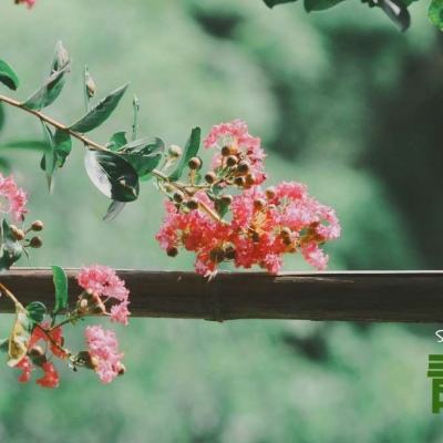 kaiyun登录入口登录