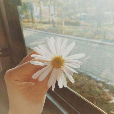 美高梅电子娱乐游戏app截图