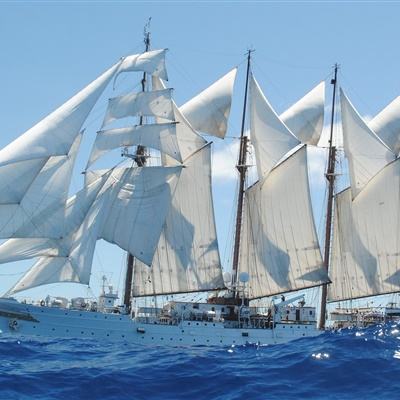 小罗代言米乐体育appapp下载